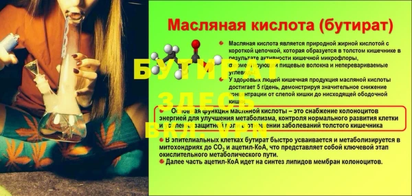 дмт Пересвет