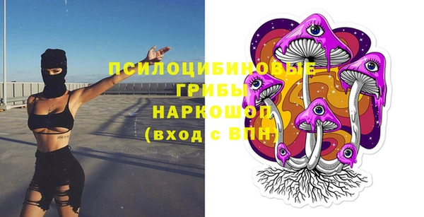 экстази Покачи