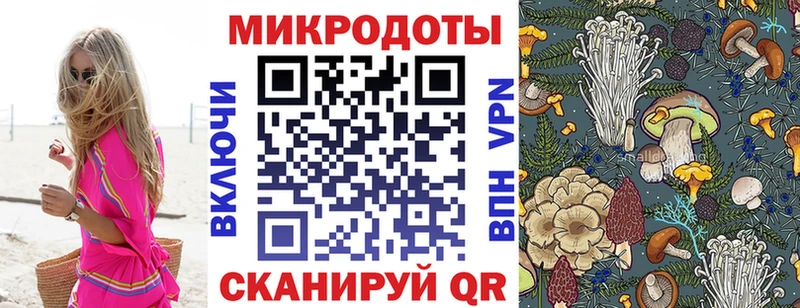 хочу наркоту  Пыталово  Галлюциногенные грибы Psilocybe 