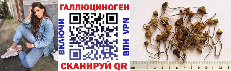 Галлюциногенные грибы ЛСД Пыталово
